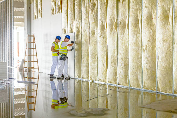 Best Residential Insulation in Farngton, MI